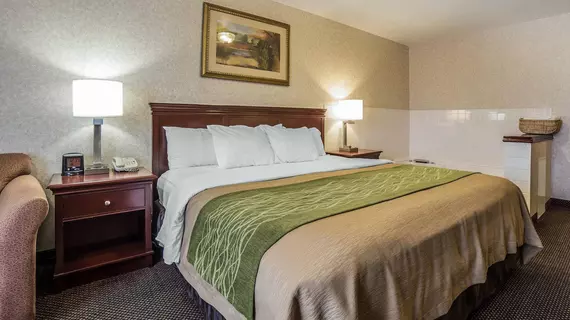 Comfort Inn Kennewick | Washington - Tri-Cities (ve civarı) - Kennewick