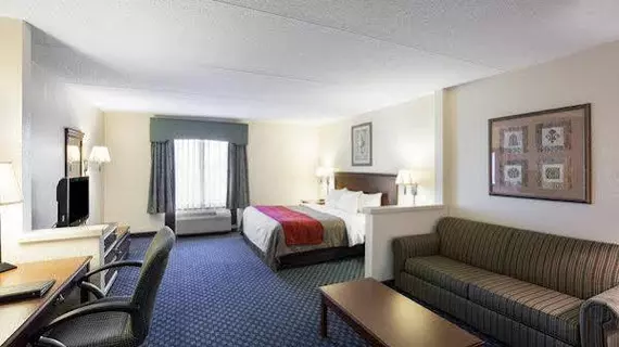 Comfort Inn & Suites San Antonio Airport | Teksas - San Antonio (ve civarı) - San Antonio - Kuzey San Antonio - SAT Havalimanı