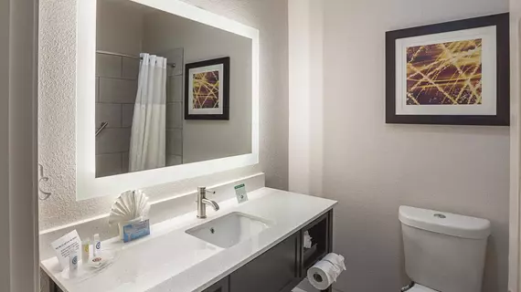 Comfort Suites Vista Ridge Mall | Teksas - Dallas (ve civarı) - Lewisville