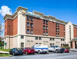 Comfort Inn Lehigh Valley West | Pensilvanya - Bucks County - Allentown (ve civarı) - Allentown