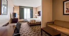 Best Western PLUS Hobby Airport Inn and Suites | Teksas - Houston (ve civarı) - Houston