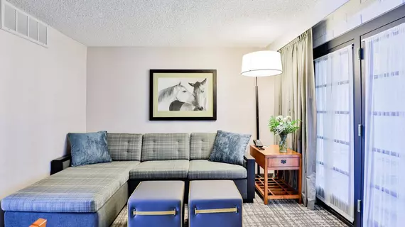 Embassy Suites Austin - Central | Teksas - Austin (ve civarı) - Austin - North Loop