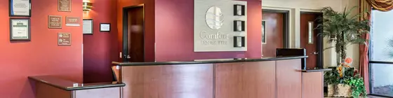 COMFORT INN & SUITES | Nevada - Clark County - Las Vegas (ve civarı) - Las Vegas