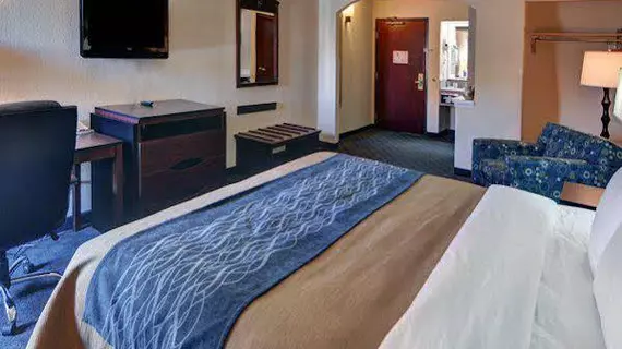 Comfort Inn DFW Airport South | Teksas - Dallas (ve civarı) - Irving