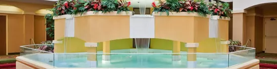 Holiday Inn and Suites Springfield I44 | Missouri - Springfield (ve civarı) - Springfield