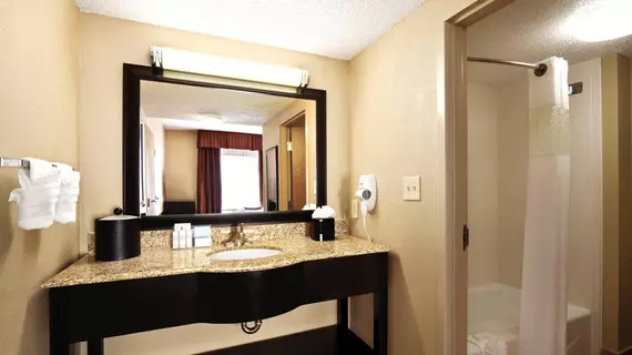 Hampton Inn and Suites Houston Clear Lake NASA | Teksas - Houston (ve civarı) - Webster