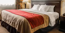 Comfort Inn Waterford | Michigan - Detroit (ve civarı) - Waterford