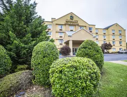 Quality Inn & Suites - Spartanburg | Güney Karolayna - Greenville - Spartanburg (ve civarı) - Spartanburg