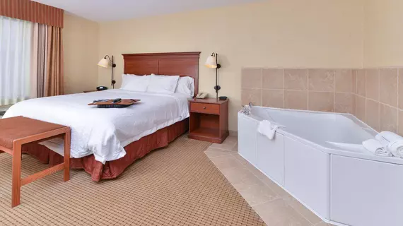 Hampton Inn Rock Springs | Wyoming - Rock Springs (ve civarı) - Rock Springs