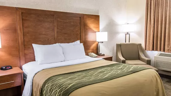 Comfort Inn Lewiston | Idaho - Lewiston (ve civarı) - Lewiston