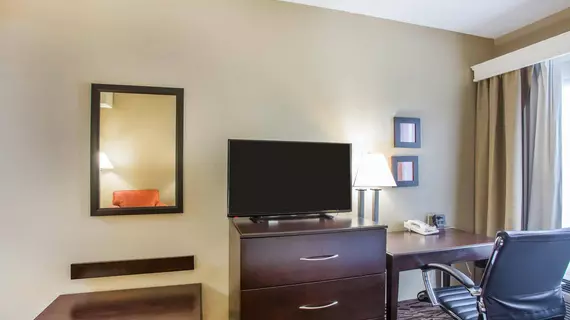 Comfort Suites Lebanon | Tennessee - Nashville-Davidson - Nashville (ve civarı) - Lebanon