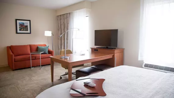 Hampton Inn and Suites McKinney TX | Teksas - Dallas (ve civarı) - McKinney