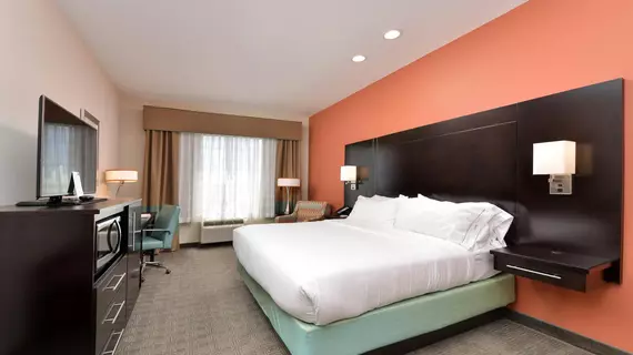 HOLIDAY INN EXPRESS & SUITES AUSTIN SOUTH | Teksas - Austin (ve civarı) - Austin