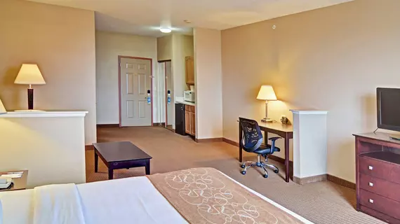 Comfort Suites Near Alliance | Teksas - Fort Worth (ve civarı) - Roanoke