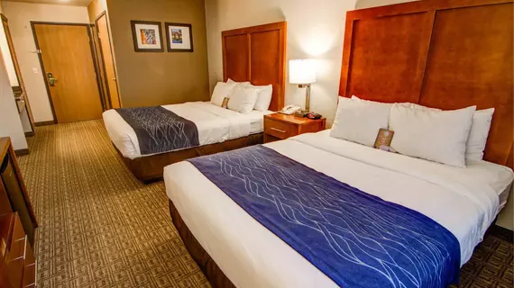 Comfort Inn & Suites Near Temecula Wine Country | Kaliforniya - Riverside County - Temecula (ve civarı) - Murrieta