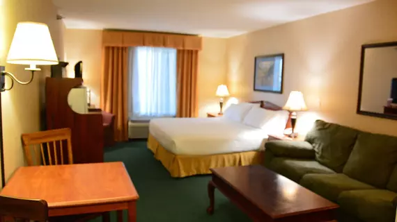 HOLIDAY INN EXPRESS & SUITES D | Kuzey Dakota - Dickinson