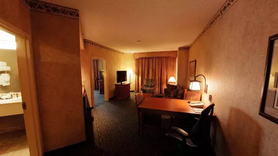 Embassy Suites by Hilton Dallas DFW Airport North | Teksas - Dallas (ve civarı) - Grapevine