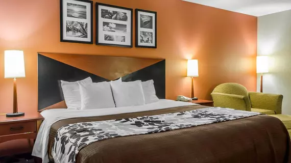 Sleep Inn & Suites Ronks | Pensilvanya - Lancaster (ve civarı) - Ronks