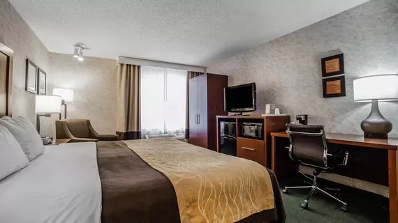 Comfort Inn Livingston | Montana - Bozeman (ve civarı) - Livingston