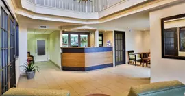 Best Western Plus Mont-Laurier | Quebec - Mont-Laurier