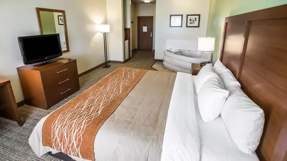 Comfort Inn Hobart | Indiana - Hobart