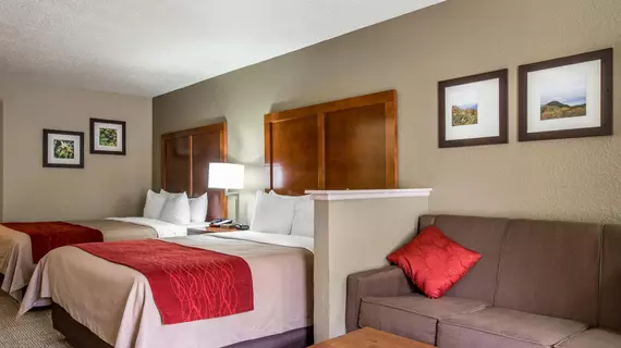 Comfort Inn & Suites at Dollywood Lane | Tennessee - Gatlinburg - Pigeon Forge (ve civarı) - Pigeon Forge