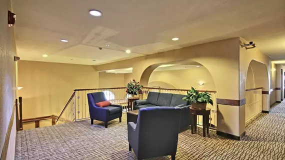 Comfort Inn Edinburg | Teksas - McAllen (ve civarı) - Edinburg