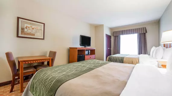 COMFORT INN & SUITES | Nevada - Clark County - Las Vegas (ve civarı) - Las Vegas