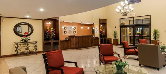 Comfort Suites Hobby Airport Houston | Teksas - Houston (ve civarı) - Houston