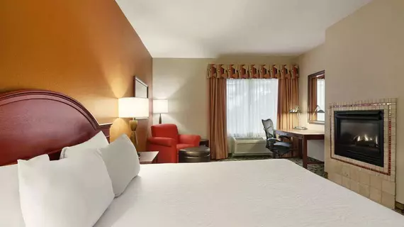 Hilton Garden Inn Wisconsin Dells | Wisconsin - Wisconsin Dells (Wisconsin Vadileri) (ve civarı) - Wisconsin Dells - Delton Gölü