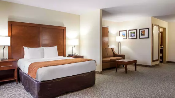 Comfort Suites Johnson Creek | Wisconsin - Fort Atkinson (ve civarı) - Johnson Creek