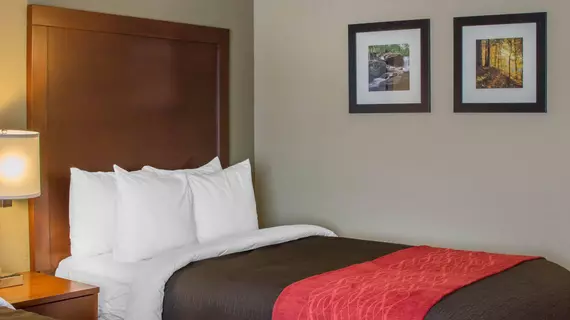 Comfort Inn Mayfield Heights Cleveland East | Ohio - Cleveland (ve civarı) - Mayfield Heights