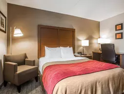 Comfort Inn Latham/Albany North | New York - Albany (ve civarı) - Latham