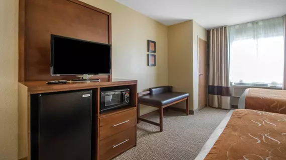 Comfort Suites Johnson Creek | Wisconsin - Fort Atkinson (ve civarı) - Johnson Creek