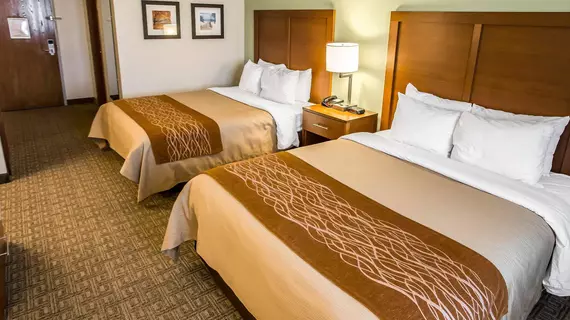 Comfort Inn Hobart | Indiana - Hobart