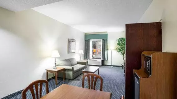 Comfort Inn & Suites San Antonio Airport | Teksas - San Antonio (ve civarı) - San Antonio - Kuzey San Antonio - SAT Havalimanı