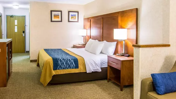 Comfort Inn Lewiston | Idaho - Lewiston (ve civarı) - Lewiston