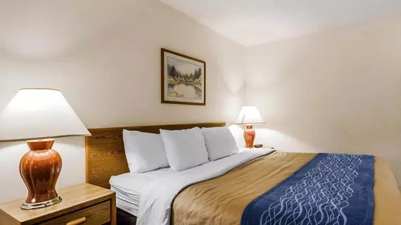 Comfort Inn Ozark | Missouri - Springfield (ve civarı) - Ozark