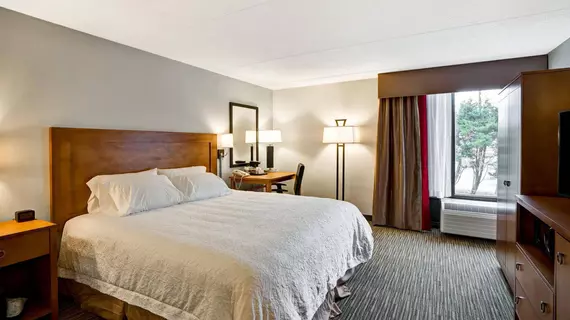 Hampton Inn Norfolk-Naval Base | Virginia - Norfolk - Virginia Beach (ve civarı) - Norfolk - Fleet