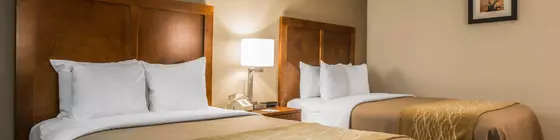 Comfort Inn & Suites at Maplewood | Vermont - Stowe (ve civarı) - Montpelier - Berlin