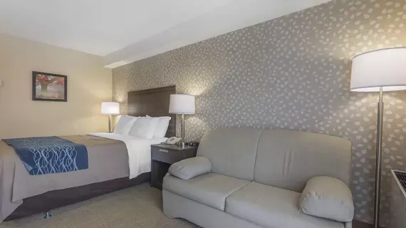 COMFORT INN LEVIS | Quebec - Quebec (ve civarı) - Levis