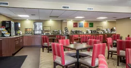 Comfort Inn & Suites at Dollywood Lane | Tennessee - Gatlinburg - Pigeon Forge (ve civarı) - Pigeon Forge