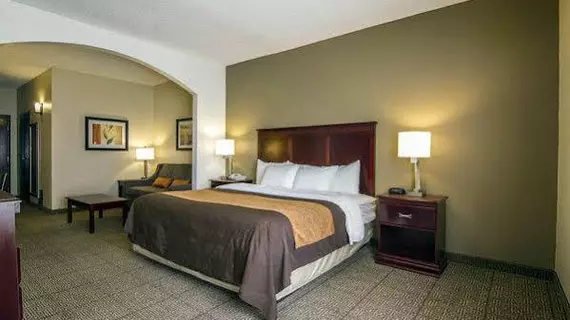 Comfort Inn & Suites Market Center | Teksas - Dallas (ve civarı) - Dallas