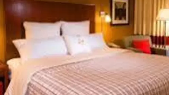 Four Points by Sheraton Memphis East | Tennessee - Memphis (ve civarı) - Memphis - White İstasyonu