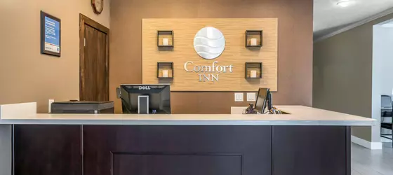 Comfort Inn Lacey | Washington - Olympia (ve civarı) - Lacey