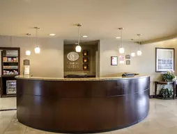 Comfort Suites Cincinnati North | Ohio - Cincinnati (ve civarı) - Cincinnati - Forest Park