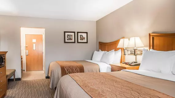 Comfort Inn | Missouri - Springfield (ve civarı) - Springfield