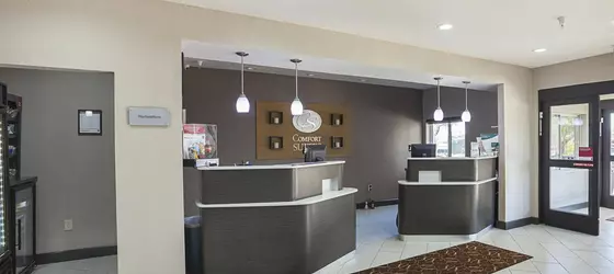 Comfort Suites Vista Ridge Mall | Teksas - Dallas (ve civarı) - Lewisville