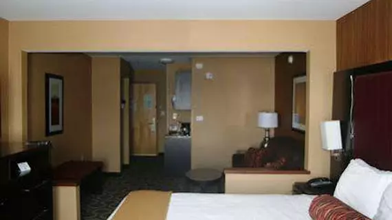 Holiday Inn Express Hotel & Suites Vineland Millville | New Jersey - Vineland (ve civarı) - Vineland