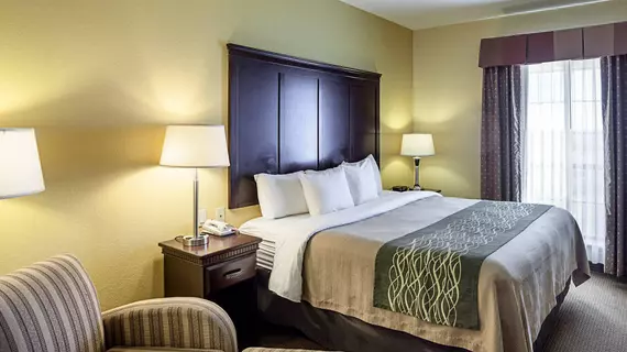 Comfort Inn Near SeaWorld | Teksas - San Antonio (ve civarı) - San Antonio - Batı San Antonio